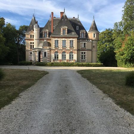 Bed and Breakfast Chateau De Praslins Nogent-sur-Vernisson Екстер'єр фото