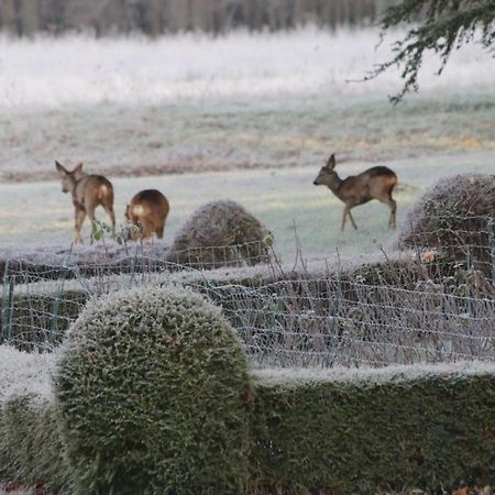 Bed and Breakfast Chateau De Praslins Nogent-sur-Vernisson Екстер'єр фото