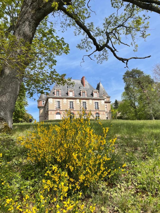 Bed and Breakfast Chateau De Praslins Nogent-sur-Vernisson Екстер'єр фото